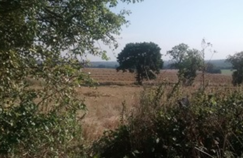 Green fields currently under threat in Arkley