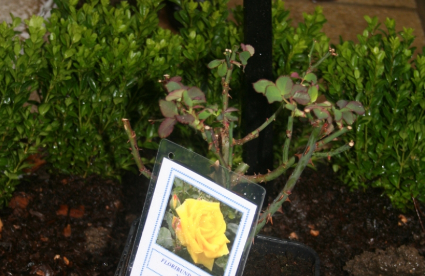 MARGARET THATCHER MEMORIAL GARDEN 2