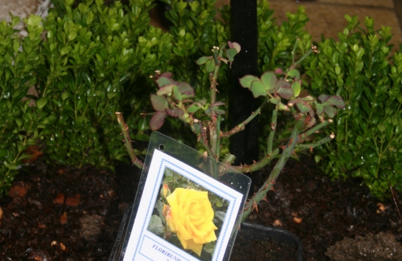 MARGARET THATCHER MEMORIAL GARDEN 2