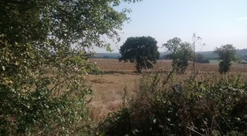 Green fields currently under threat in Arkley